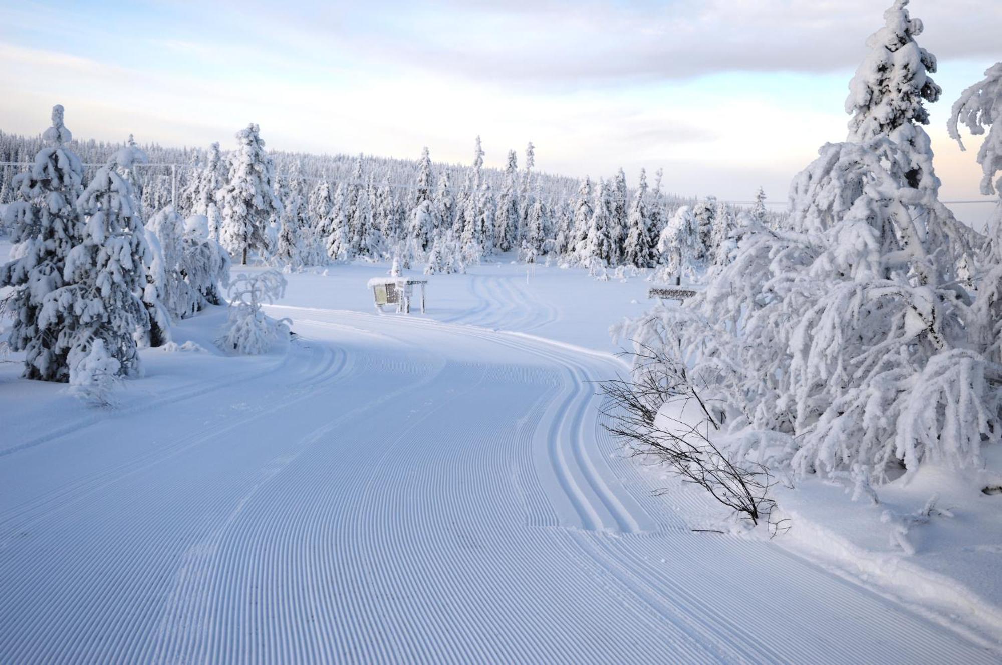 14 - Fulufjellets Nasjonalparker - Natur-, Dyre- Og Fugleopplevelser Trysil Exterior foto