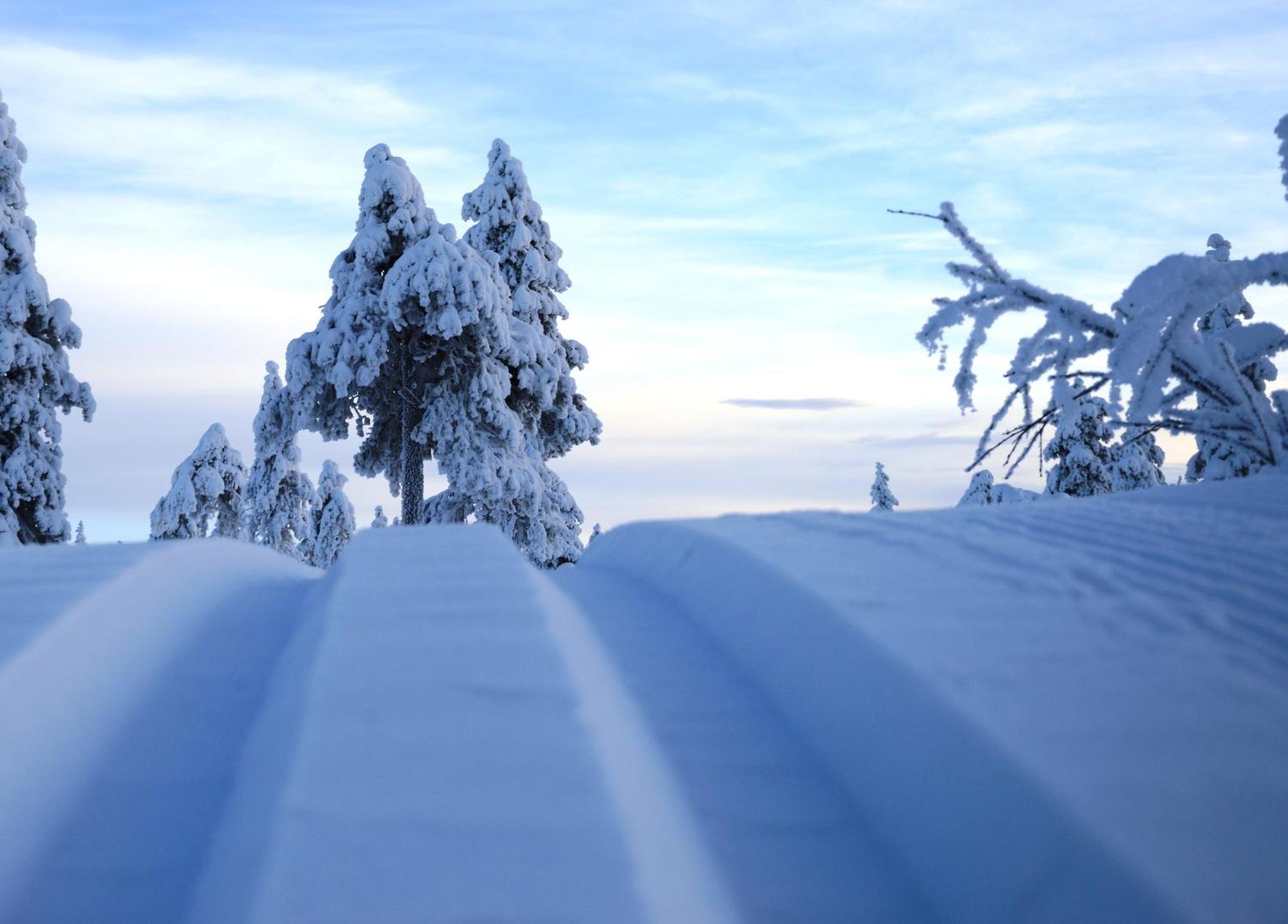 14 - Fulufjellets Nasjonalparker - Natur-, Dyre- Og Fugleopplevelser Trysil Exterior foto