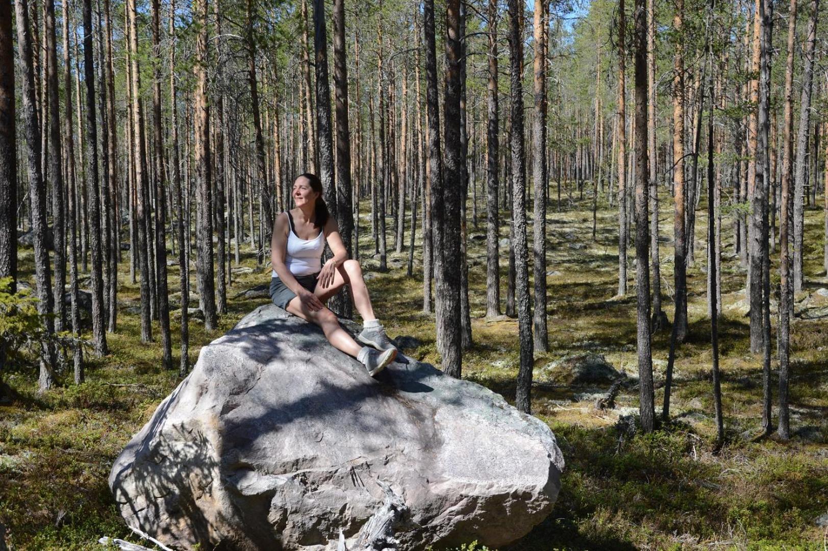 14 - Fulufjellets Nasjonalparker - Natur-, Dyre- Og Fugleopplevelser Trysil Exterior foto