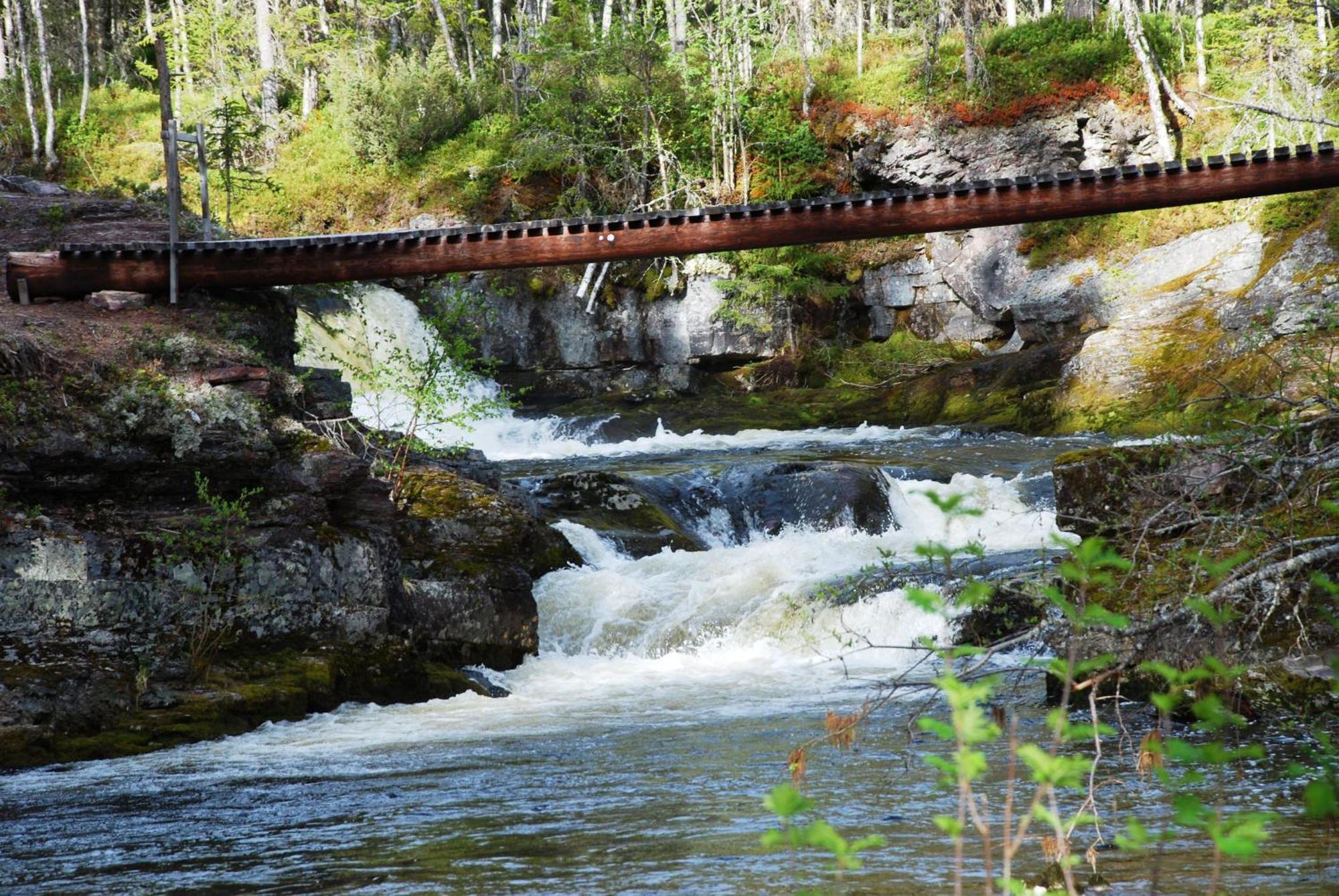 14 - Fulufjellets Nasjonalparker - Natur-, Dyre- Og Fugleopplevelser Trysil Exterior foto